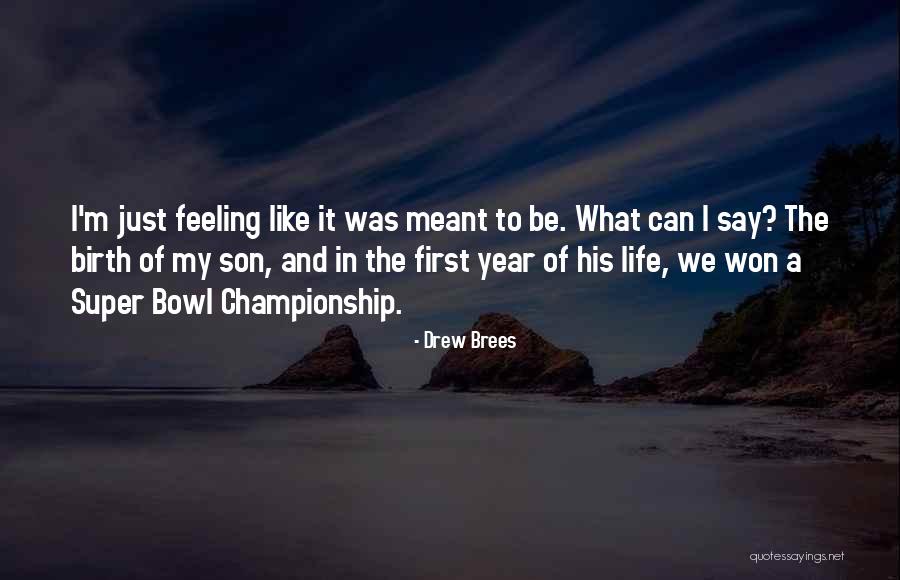 Drew Brees Quotes 1743707 Drew Brees Quotes 1743707