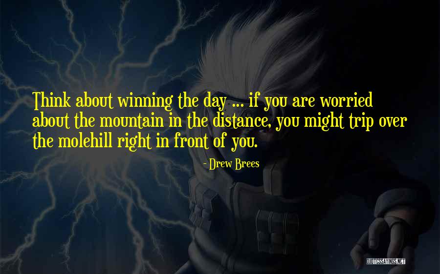 Drew Brees Quotes 214810 Drew Brees Quotes 214810