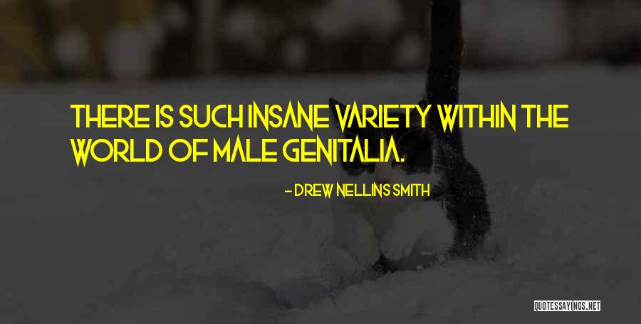 Drew Nellins Smith Quotes 320176