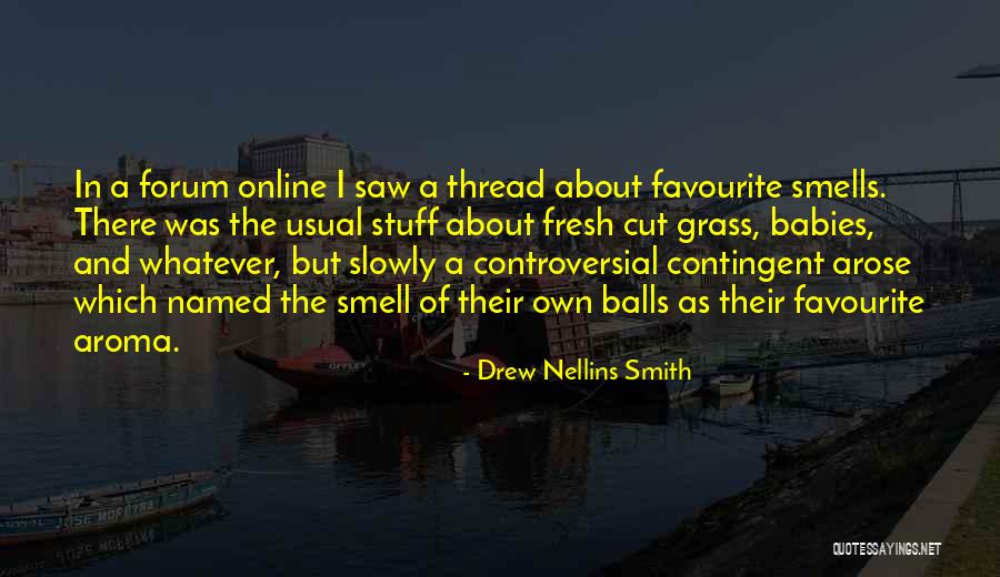 Drew Nellins Smith Quotes 830908