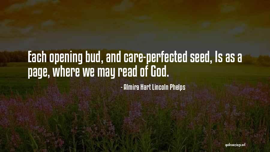 Drewskis Food Quotes By Almira Hart Lincoln Phelps Drewskis Food Quotes By Almira Hart Lincoln Phelps