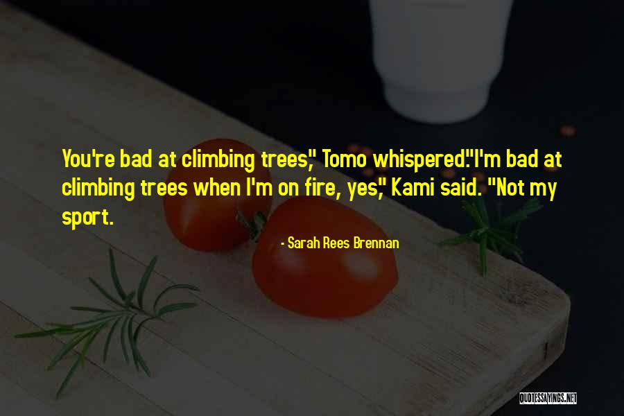 Drexel Building Quotes By Sarah Rees Brennan Drexel Building Quotes By Sarah Rees Brennan