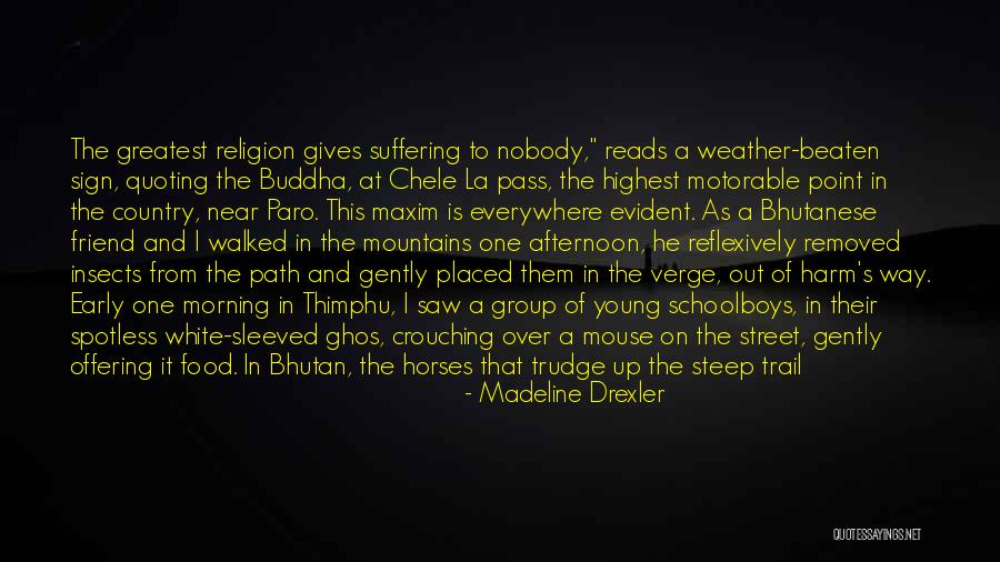 Drexler Quotes By Madeline Drexler Drexler Quotes By Madeline Drexler