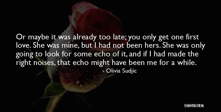 Driblet Water Quotes By Olivia Sudjic Driblet Water Quotes By Olivia Sudjic