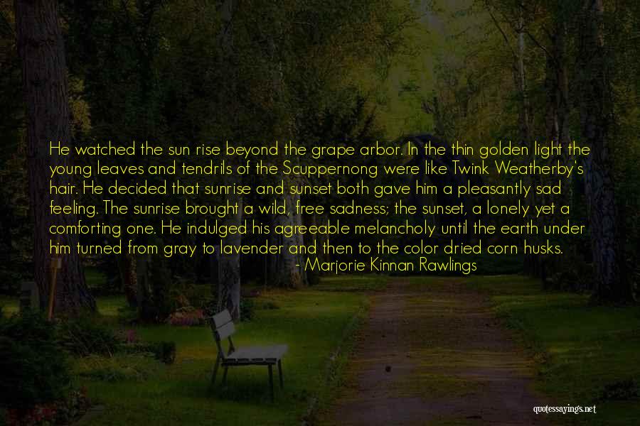 Dried Leaves Quotes By Marjorie Kinnan Rawlings