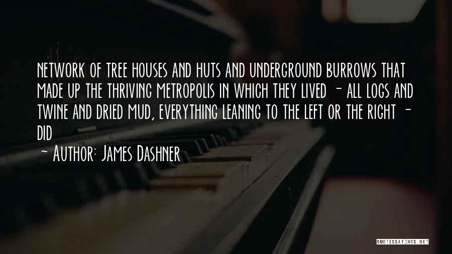 Dried Tree Quotes By James Dashner