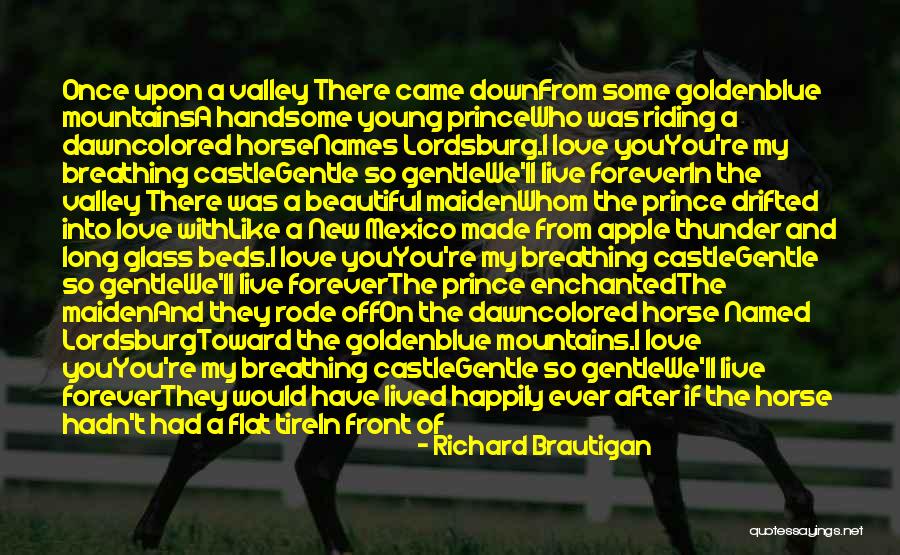 Drifted Love Quotes By Richard Brautigan