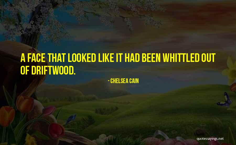 Driftwood Quotes By Chelsea Cain Driftwood Quotes By Chelsea Cain