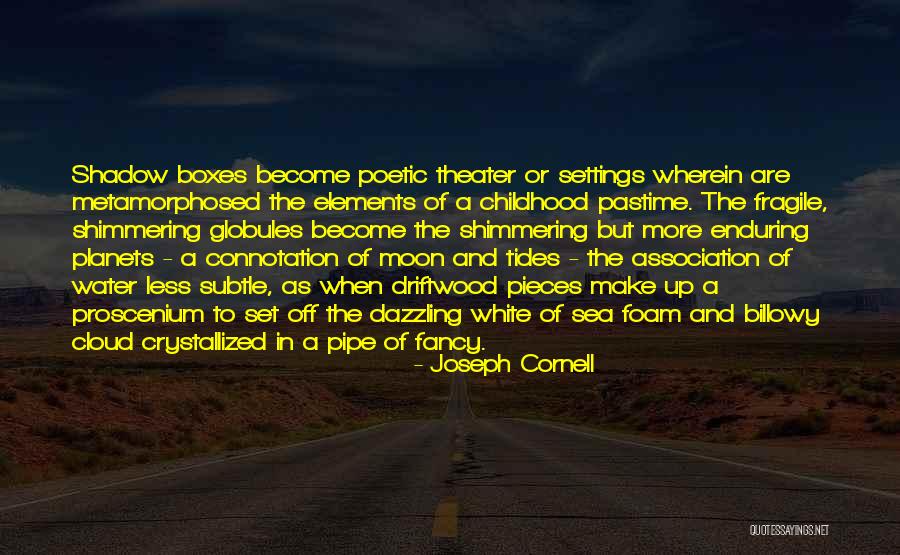 Driftwood Quotes By Joseph Cornell Driftwood Quotes By Joseph Cornell