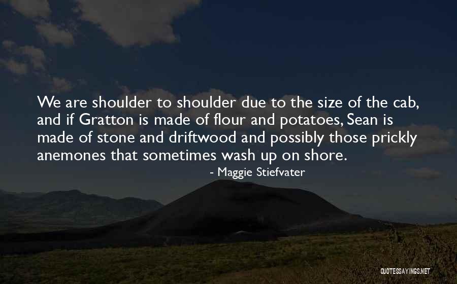 Driftwood Quotes By Maggie Stiefvater Driftwood Quotes By Maggie Stiefvater