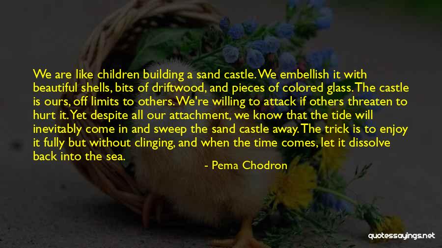 Driftwood Quotes By Pema Chodron Driftwood Quotes By Pema Chodron