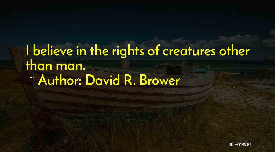 Drijftest Quotes By David R. Brower