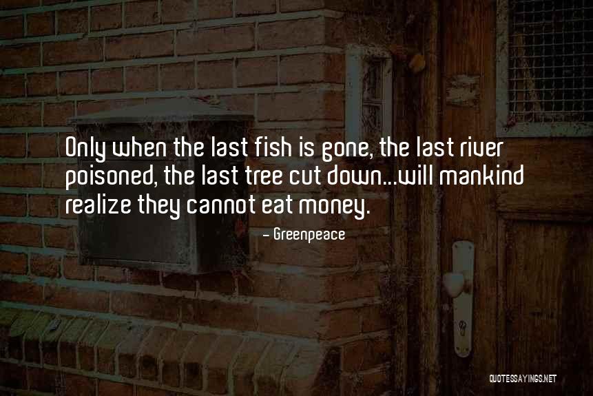 Dringenberg Quotes By Greenpeace Dringenberg Quotes By Greenpeace