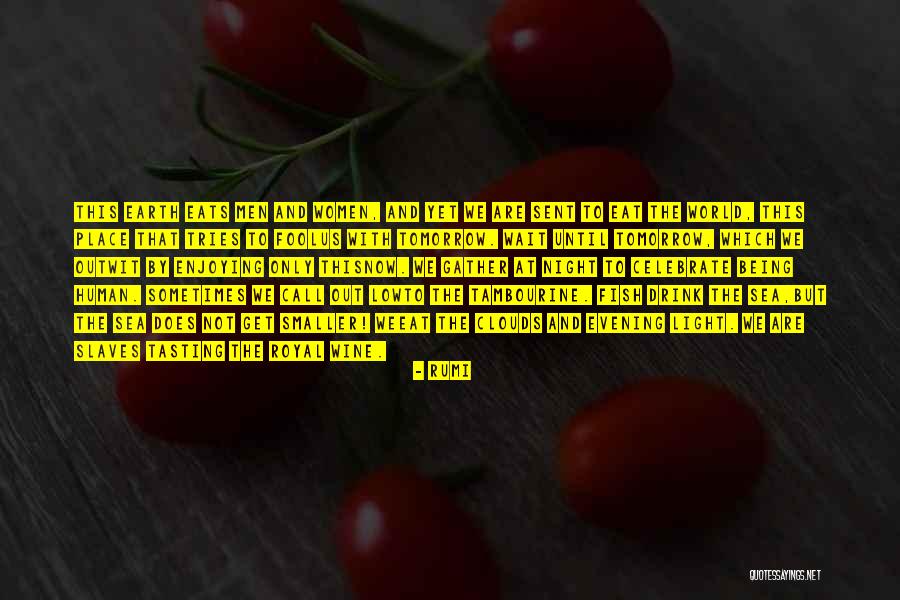 Drink Until Quotes By Rumi Drink Until Quotes By Rumi