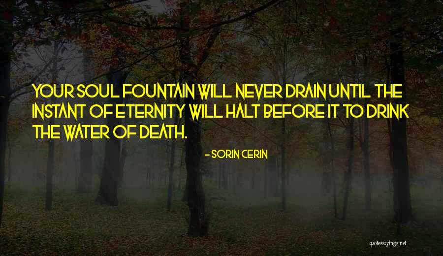 Drink Until Quotes By Sorin Cerin Drink Until Quotes By Sorin Cerin