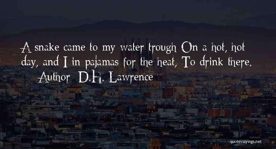 Drink Water Quotes By D.H. Lawrence