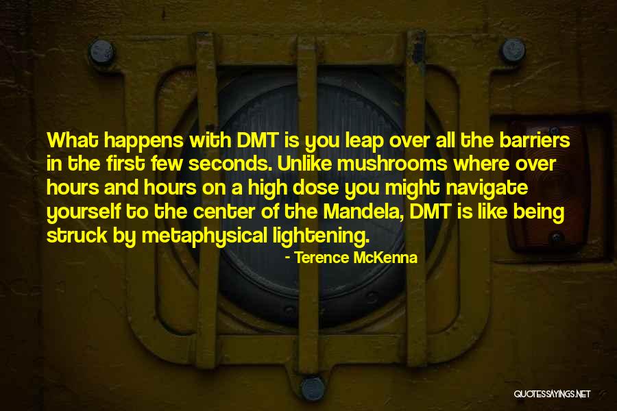 Drinken Imperfectum Quotes By Terence McKenna Drinken Imperfectum Quotes By Terence McKenna