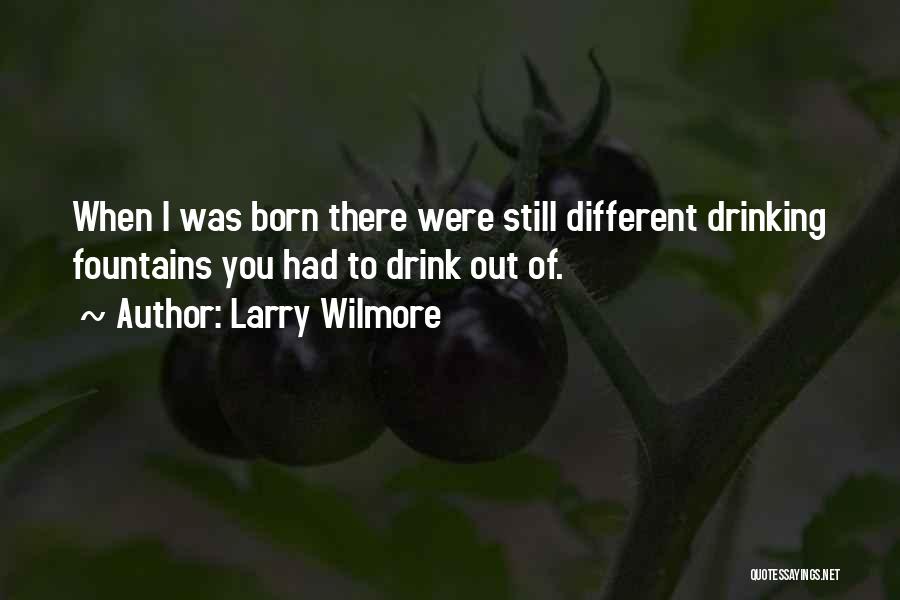 Drinking Fountains Quotes By Larry Wilmore