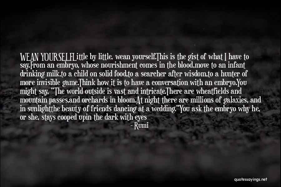 Drinking Friends Quotes By Rumi Drinking Friends Quotes By Rumi