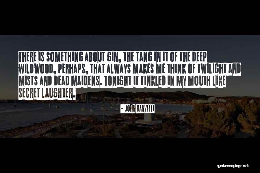 Drinking Gin Quotes By John Banville Drinking Gin Quotes By John Banville
