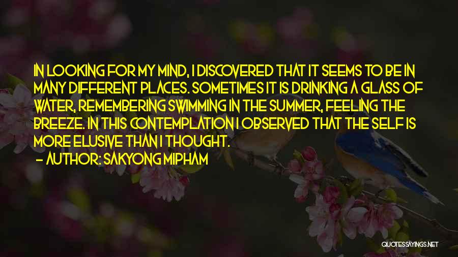 Drinking In The Summer Quotes By Sakyong Mipham