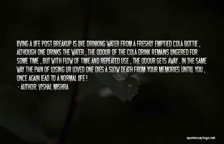 Drinking My Pain Away Quotes By Vishal Mishra