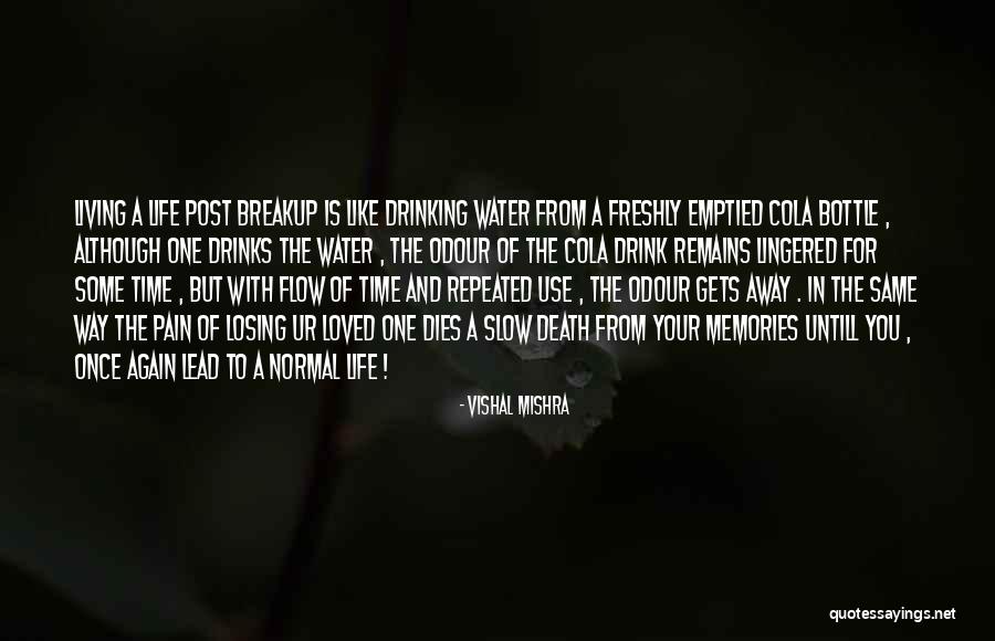 Drinking Pain Away Quotes By Vishal Mishra