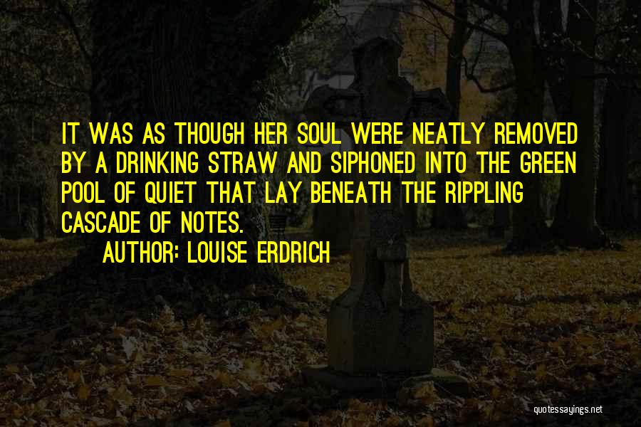 Drinking Straw Quotes By Louise Erdrich