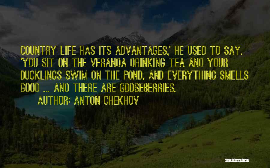 Drinking Tea Quotes By Anton Chekhov