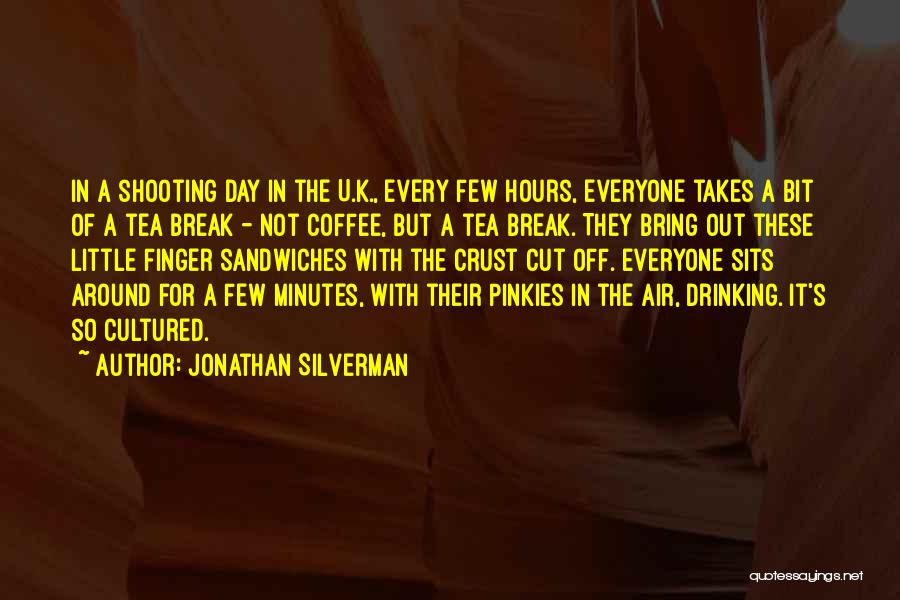 Drinking To Get Over A Break Up Quotes By Jonathan Silverman