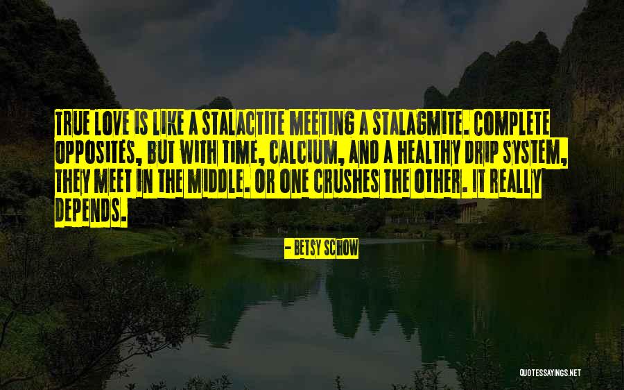 Drip Quotes By Betsy Schow Drip Quotes By Betsy Schow