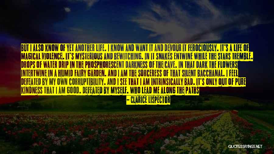Drip Quotes By Clarice Lispector Drip Quotes By Clarice Lispector