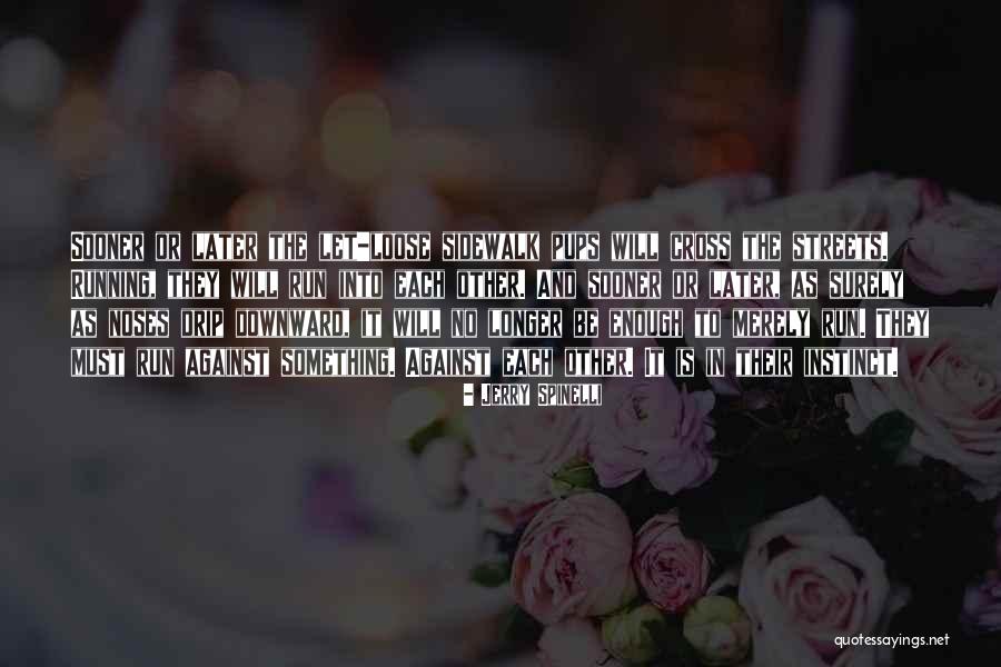 Drip Quotes By Jerry Spinelli Drip Quotes By Jerry Spinelli