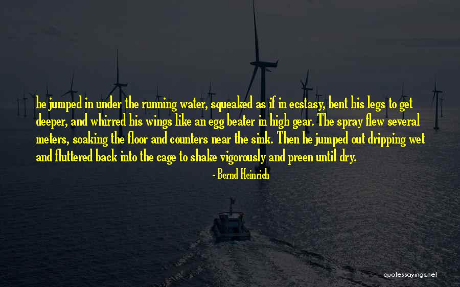 Dripping Water Quotes By Bernd Heinrich Dripping Water Quotes By Bernd Heinrich
