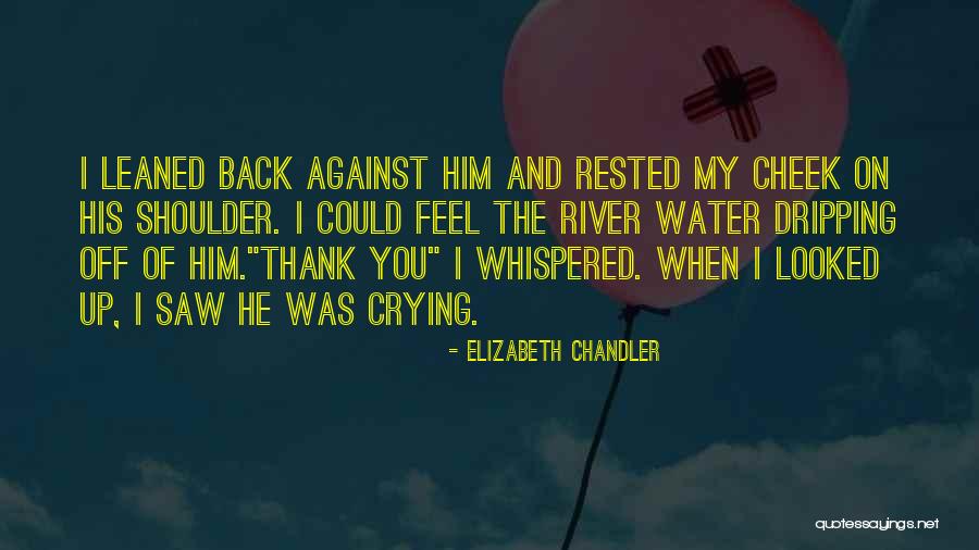 Dripping Water Quotes By Elizabeth Chandler Dripping Water Quotes By Elizabeth Chandler