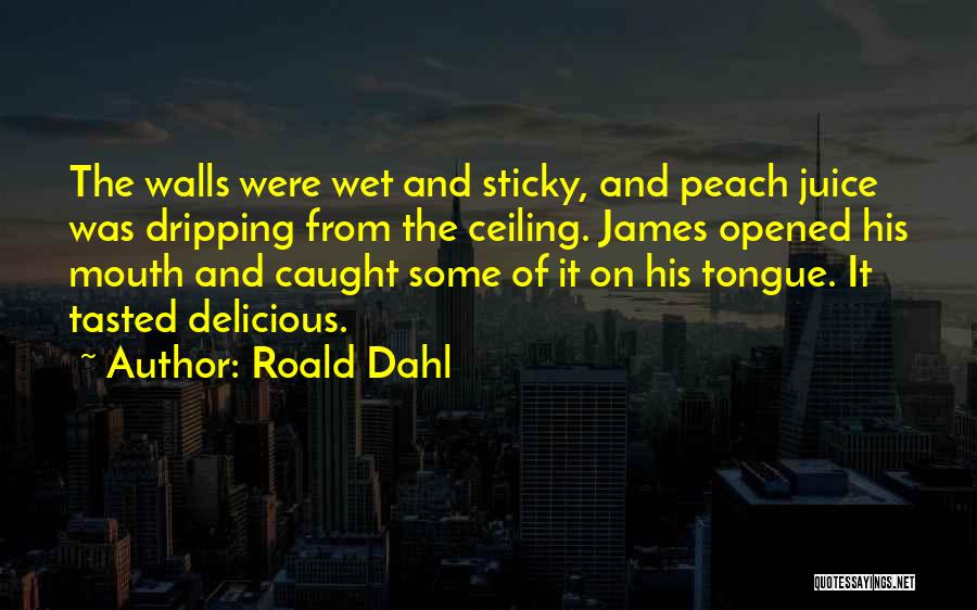 Dripping Wet Quotes By Roald Dahl