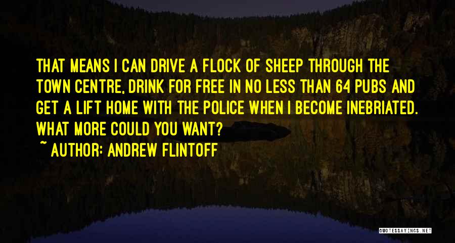 Drive And Drink Quotes By Andrew Flintoff