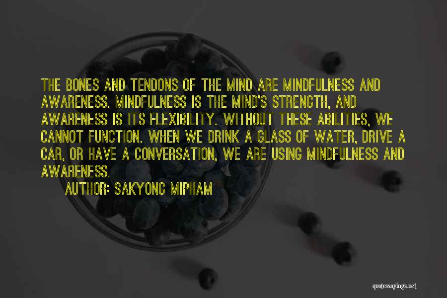 Drive And Drink Quotes By Sakyong Mipham