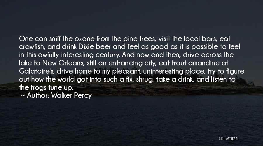 Drive And Drink Quotes By Walker Percy