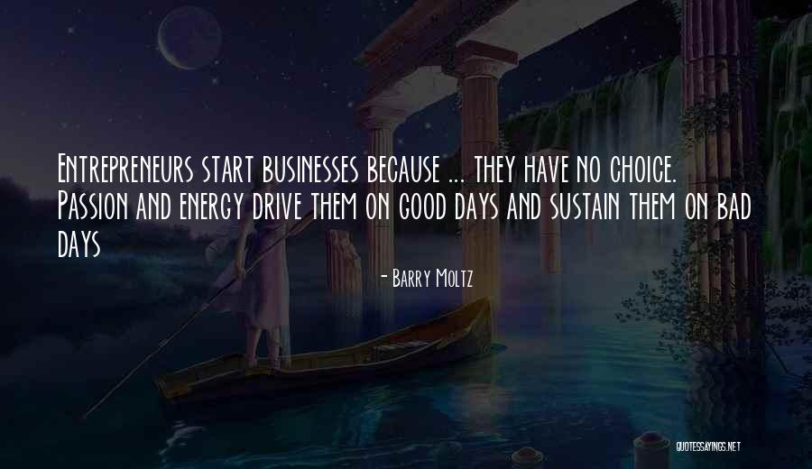 Drive And Passion Quotes By Barry Moltz Drive And Passion Quotes By Barry Moltz