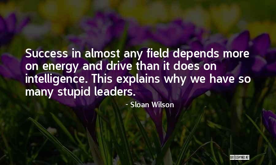 Drive And Success Quotes By Sloan Wilson