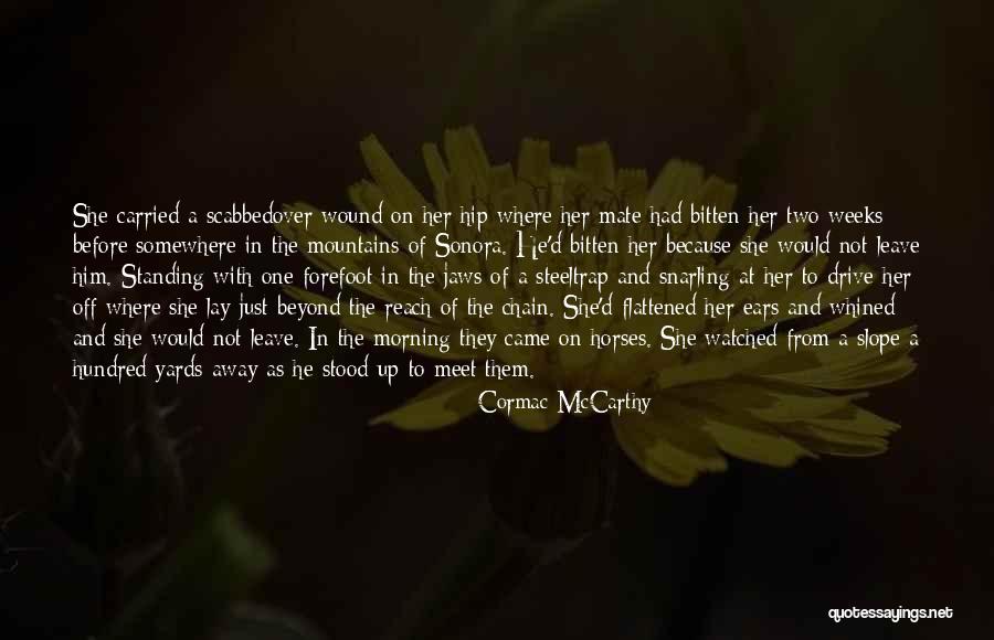 Drive Away Quotes By Cormac McCarthy Drive Away Quotes By Cormac McCarthy