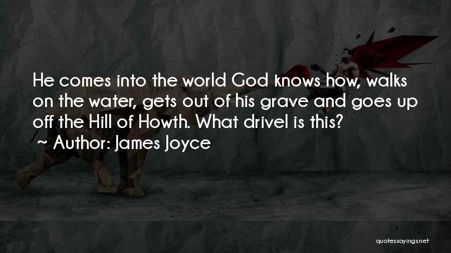 Drivel Quotes By James Joyce
