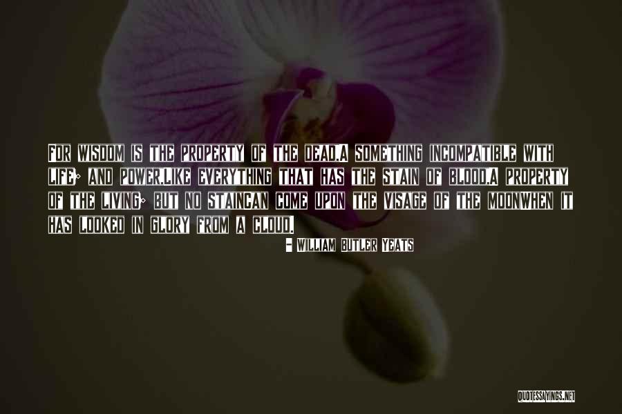 Driven Insane Quotes By William Butler Yeats Driven Insane Quotes By William Butler Yeats