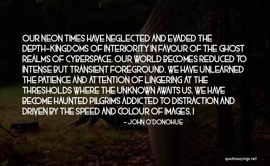 Driven To Distraction Quotes By John O'Donohue