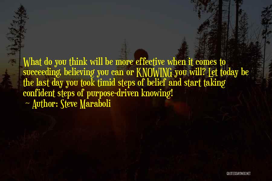 Driven To Success Quotes By Steve Maraboli
