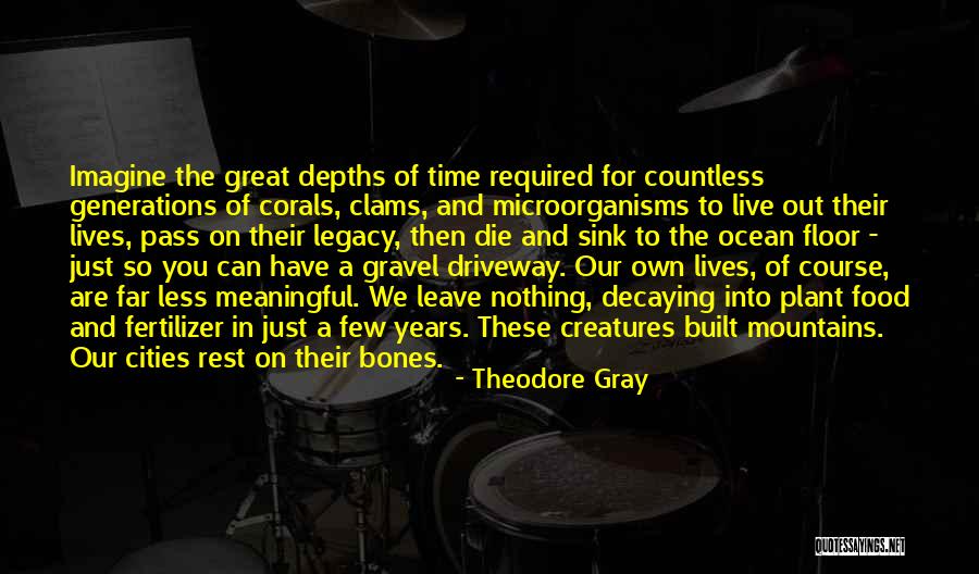 Driveway Quotes By Theodore Gray