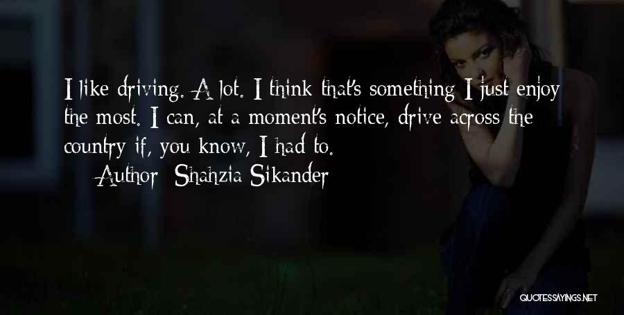 Driving Across The Country Quotes By Shahzia Sikander