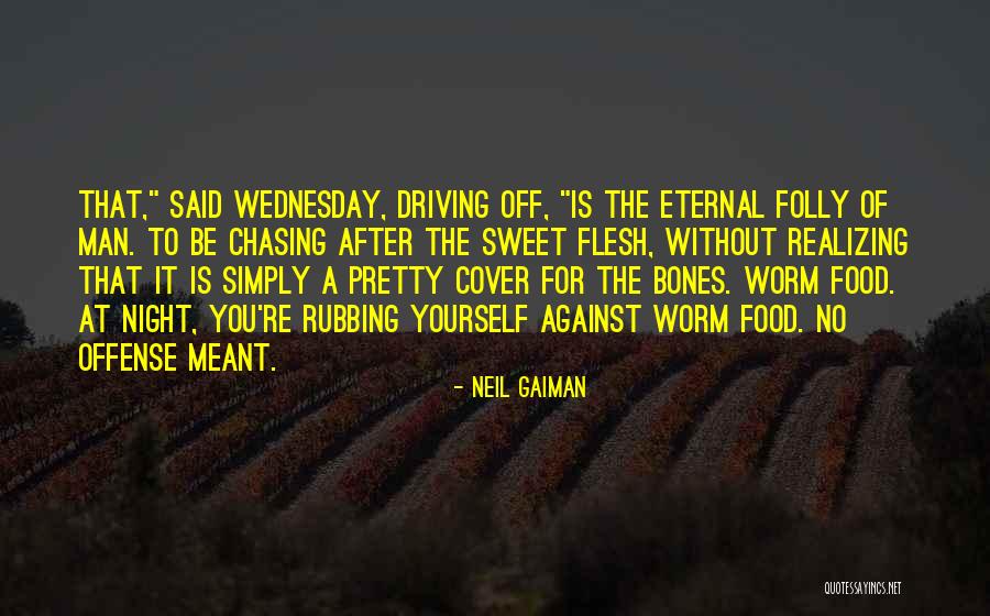 Driving At Night Quotes By Neil Gaiman