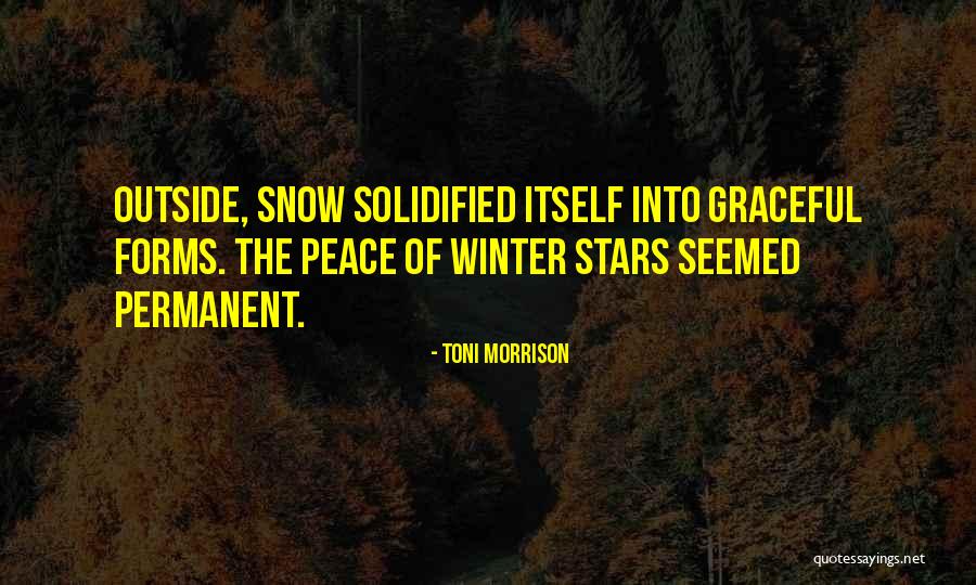 Driving Cars Fast Quotes By Toni Morrison Driving Cars Fast Quotes By Toni Morrison